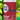 NaturalBoom per Spider-Man: Brand New Day – Lampone e Peperoncino
