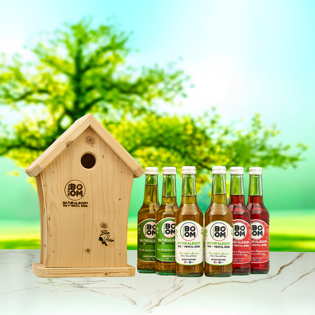 Casetta Uccelli Belin House + 6 bottiglie NaturalBoom