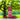 NaturalBoom in vetro – Lampone e Peperoncino - 12 Bottiglie