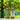 NaturalBoom in vetro – Mix Pack - 12 Bottiglie