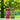 NaturalBoom in vetro – Mix Pack - 12 Bottiglie