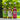 NaturalBoom in vetro – Super Mix Pack - 12 Bottiglie