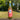 NaturalBoom in vetro – Lampone e Peperoncino - 12 Bottiglie