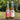 NaturalBoom in vetro – Mix Pack - 12 Bottiglie